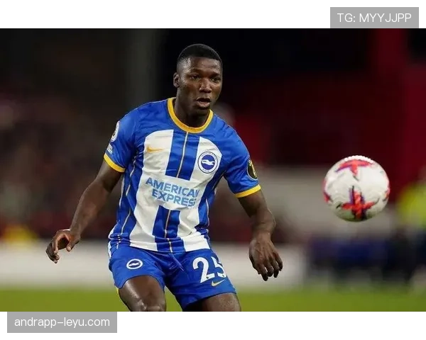 凯塞多覆盖范围扩展,开启全球市场新机遇与挑战 凯塞多覆盖范围扩展,开启全球市场新机遇与挑战