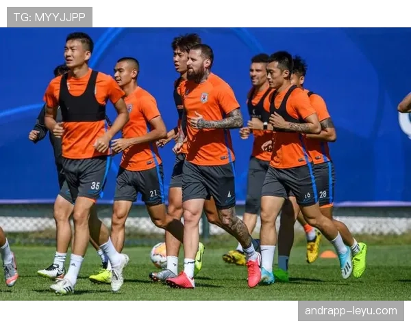 足球新星闪耀赛场,备受期待的参赛名单正式揭晓