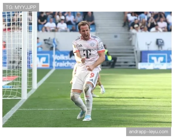 哈里·凯恩英超时期数据解析：长期高产背后的稳定性逻辑