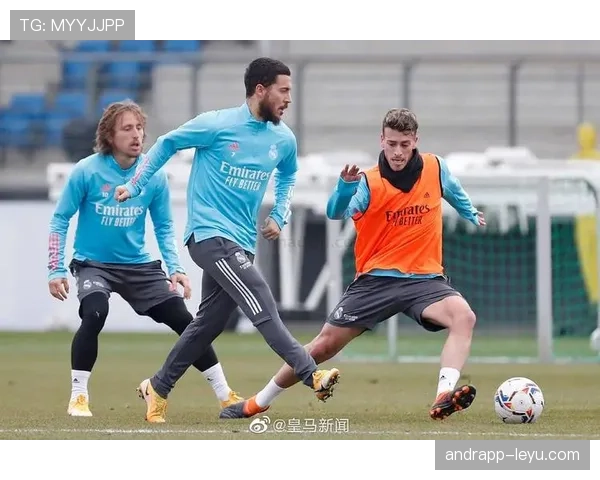 卡瓦哈尔近年出勤率与伤病恢复情况分析