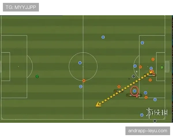 哈兰德传球视野的局限性解析