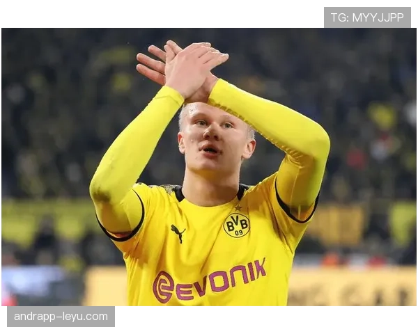 哈兰德单赛季进球爆发力解析:产量上限是否达历史级