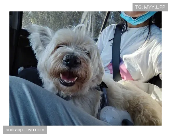 萨卡训练完直接去接娃，背的包比我一个月工资还贵